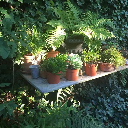 Guestready - Charming Haven With A Private Garden * Nogent-sur-Marne